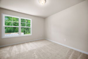 An empty, newly carpeted room with beige walls, a large window, and a ceiling light fixture. The window offers a view of green trees outside.