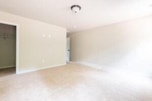 A vacant room with beige walls and carpet, a ceiling light, a closed white door, and an empty walk-in closet.