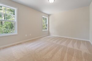 Empty room with beige carpet, white walls, and two windows showing a forested view. Ceiling light fixture is centered. Room is well-lit with natural light.