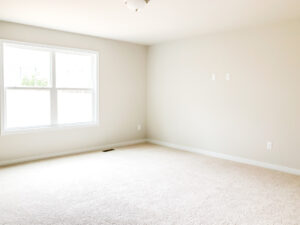 An empty room with light beige walls, a double window on the left, and beige carpet flooring. A ceiling light fixture is centered on the ceiling.
