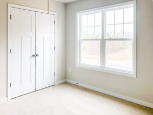 Empty room with beige carpet, a double-door white closet, and a large window overlooking a grassy field. White walls and ceiling with baseboards visible. Natural light entering from the window.