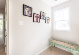A hallway with framed pictures of dogs on the wall and a green bench below a window on the right.