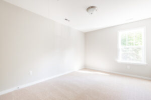 Empty room with beige carpet, off-white walls, ceiling light fixture, and a single window allowing natural light.