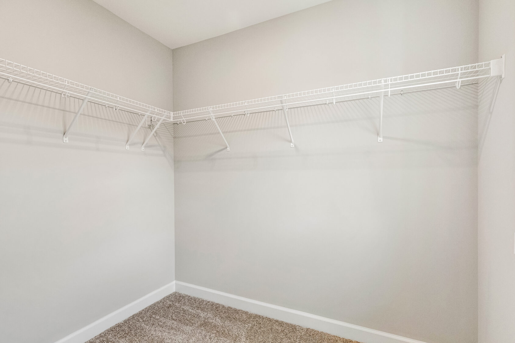 Empty walk-in closet with beige walls, carpet flooring, and white wire shelving on two walls.