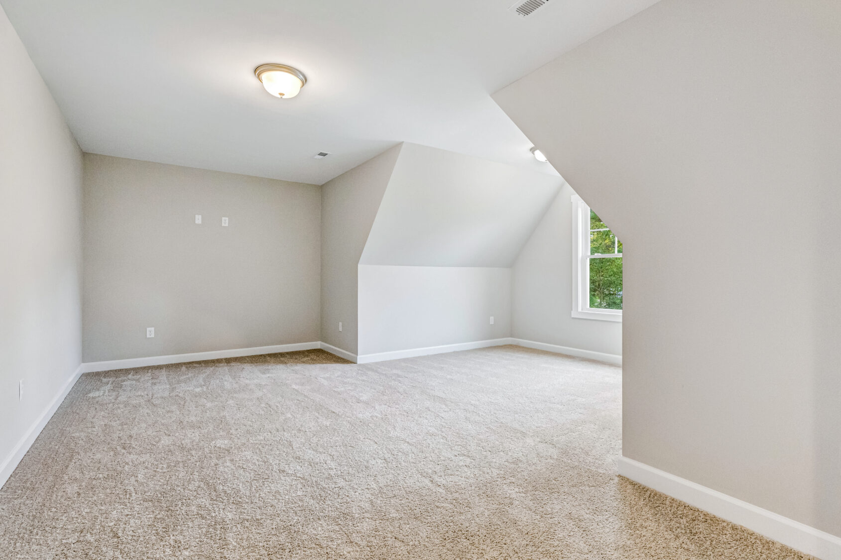 Spacious empty room with beige carpet, white walls, ceiling light, and a window with greenery outside.