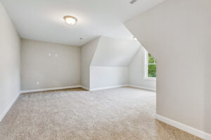 Spacious empty room with beige carpet, white walls, ceiling light, and a window with greenery outside.