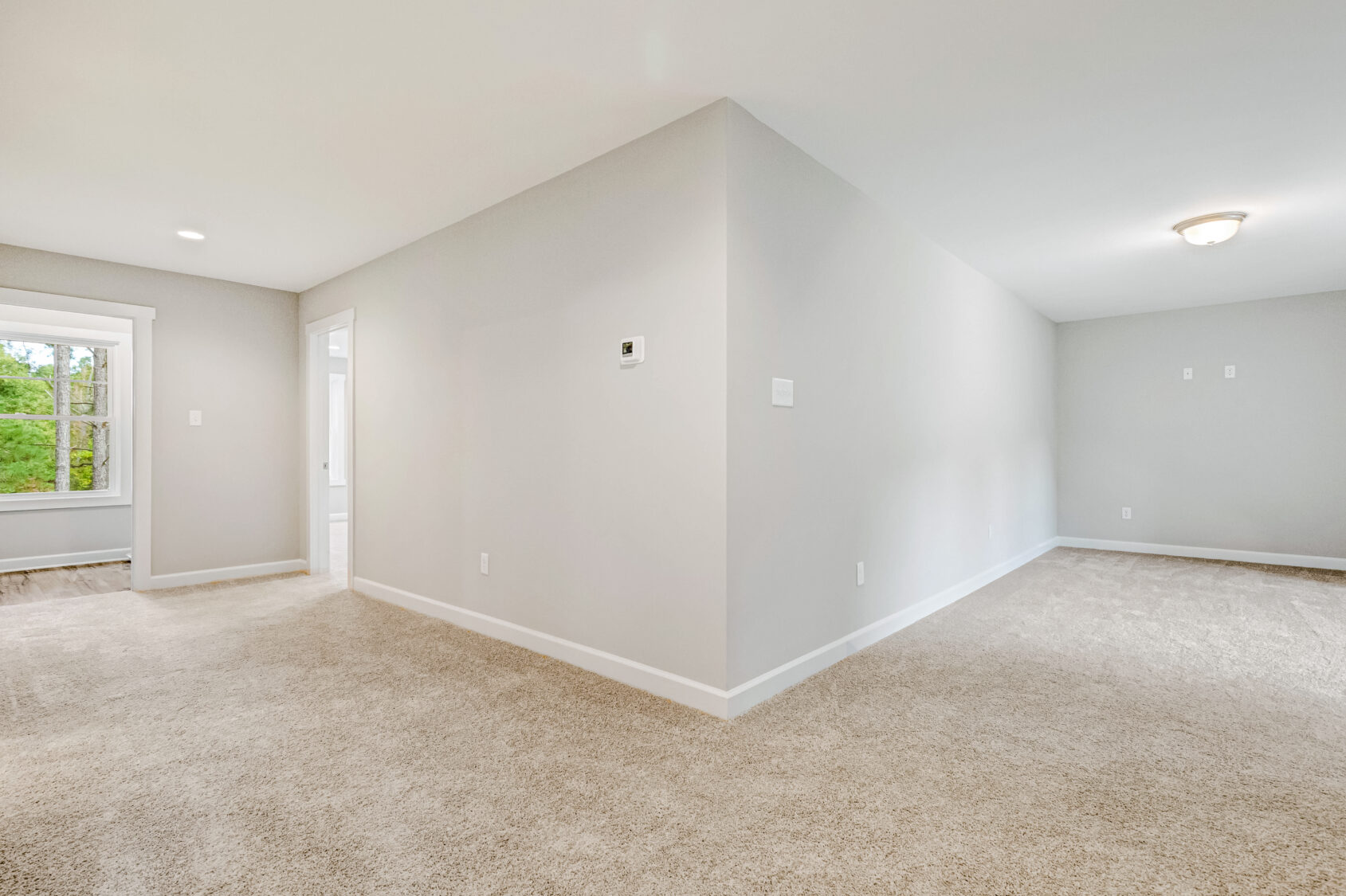 A bright, empty room with beige carpet, light gray walls, and a window overlooking greenery.