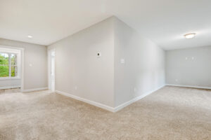 A bright, empty room with beige carpet, light gray walls, and a window overlooking greenery.