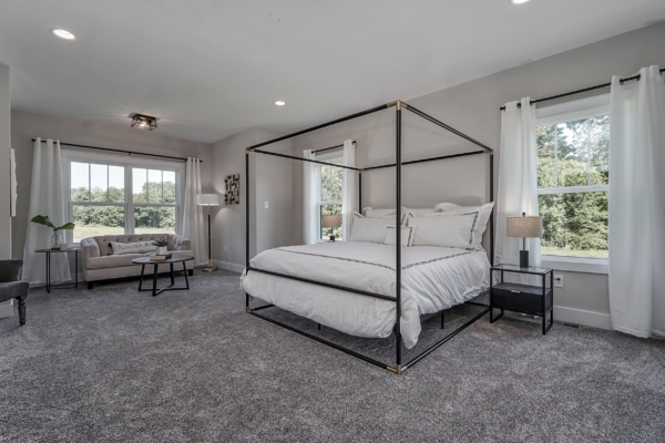 Spacious bedroom in a new home with a canopy bed, white curtains, grey carpet, and a beige couch with a floor lamp.