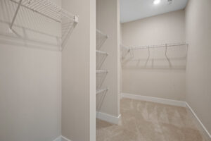 Empty walk-in closet with beige walls, white shelving, and beige carpet flooring.