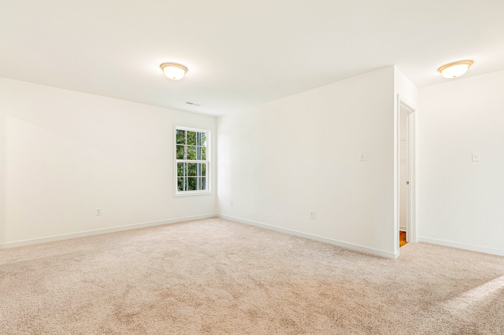 Bright, empty carpeted room in Poplar Village, Lot 29, with white walls, ceiling lights, and a window overlooking greenery.