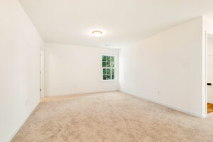 Empty room in Poplar Village with beige carpet, white walls, ceiling light, and a window letting in natural light.
