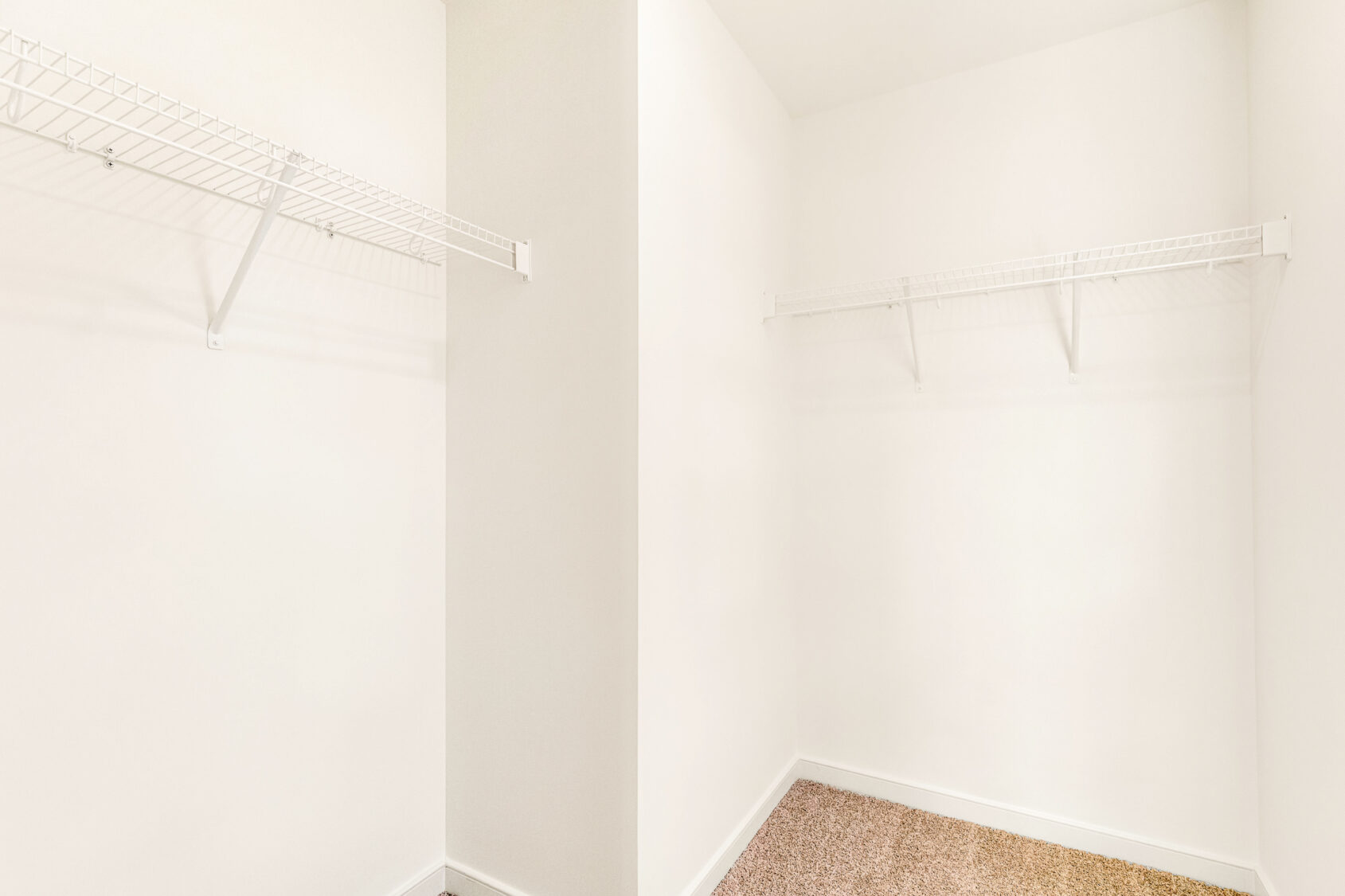 Empty walk-in closet with white walls, wire shelving, and carpeted flooring in Poplar Village's Lot 29.