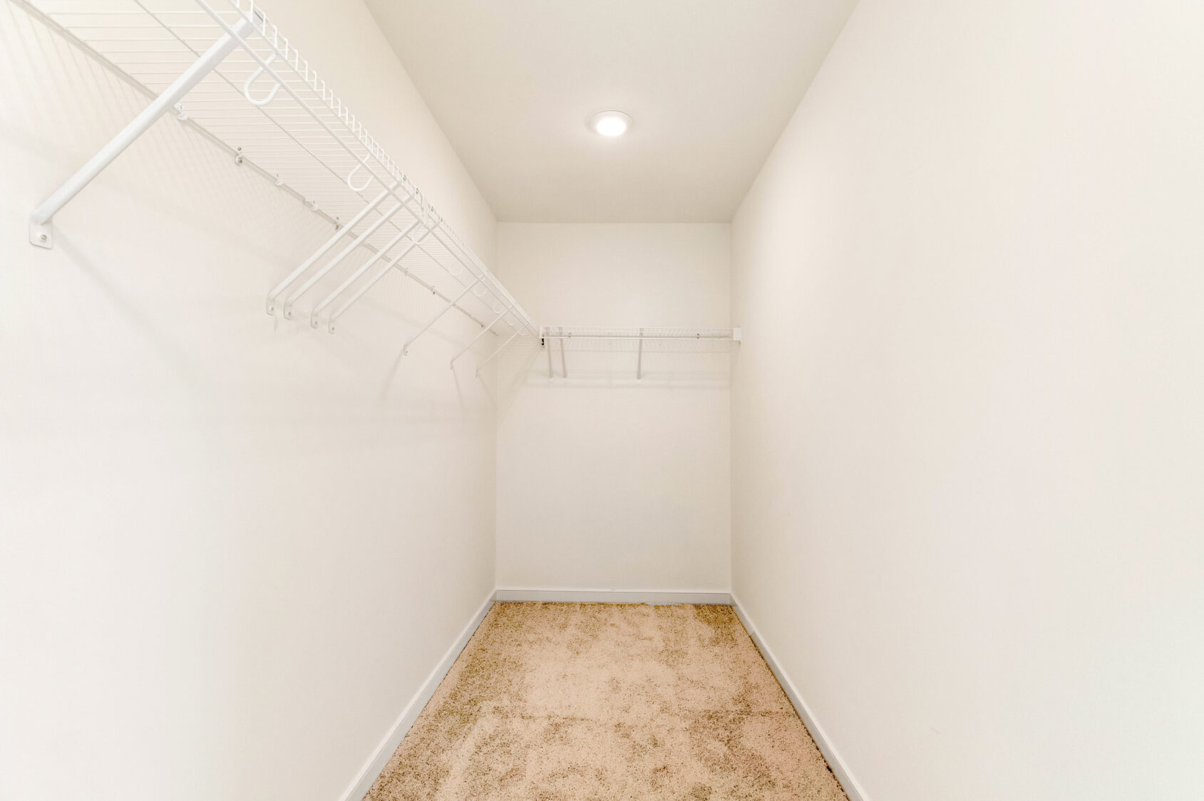 Empty walk-in closet in Lot 29, Poplar Village, with beige carpet, white walls, and white wire shelving on two sides.